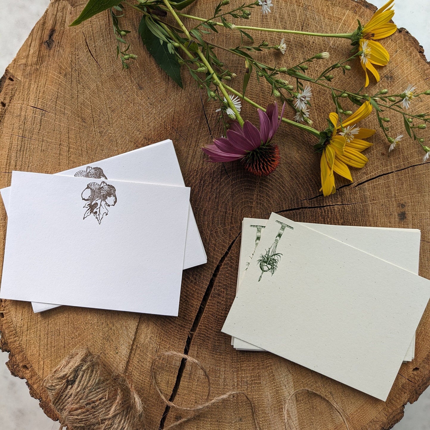 Macrame Plant Hanger & Acorn Letterpress Note Card Set