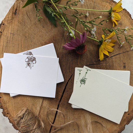 Macrame Plant Hanger & Acorn Letterpress Note Card Set