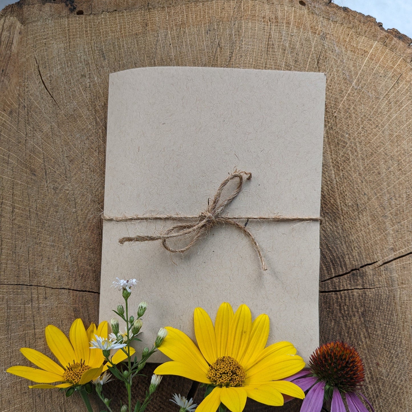 Macrame Plant Hanger & Acorn Letterpress Note Card Set