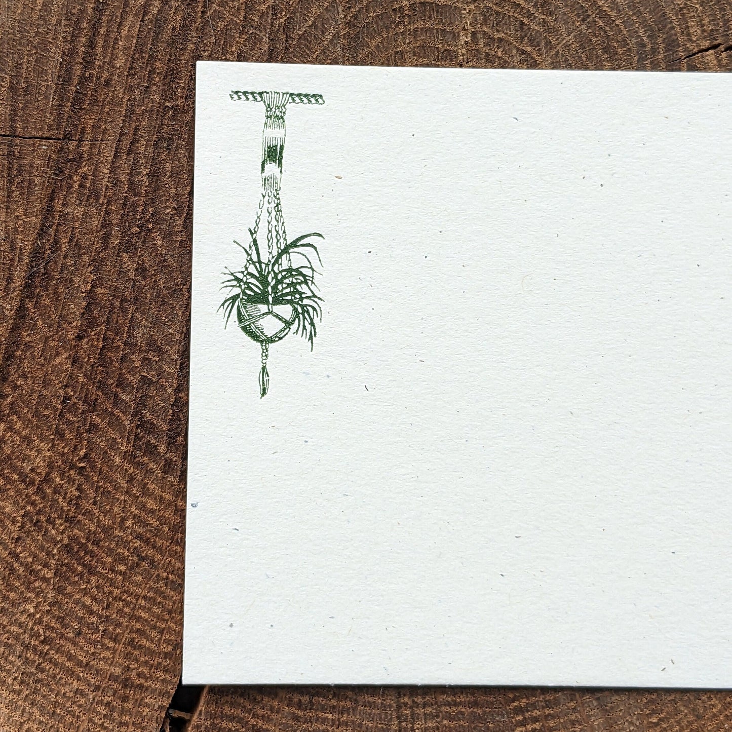 Macrame Plant Hanger & Acorn Letterpress Note Card Set
