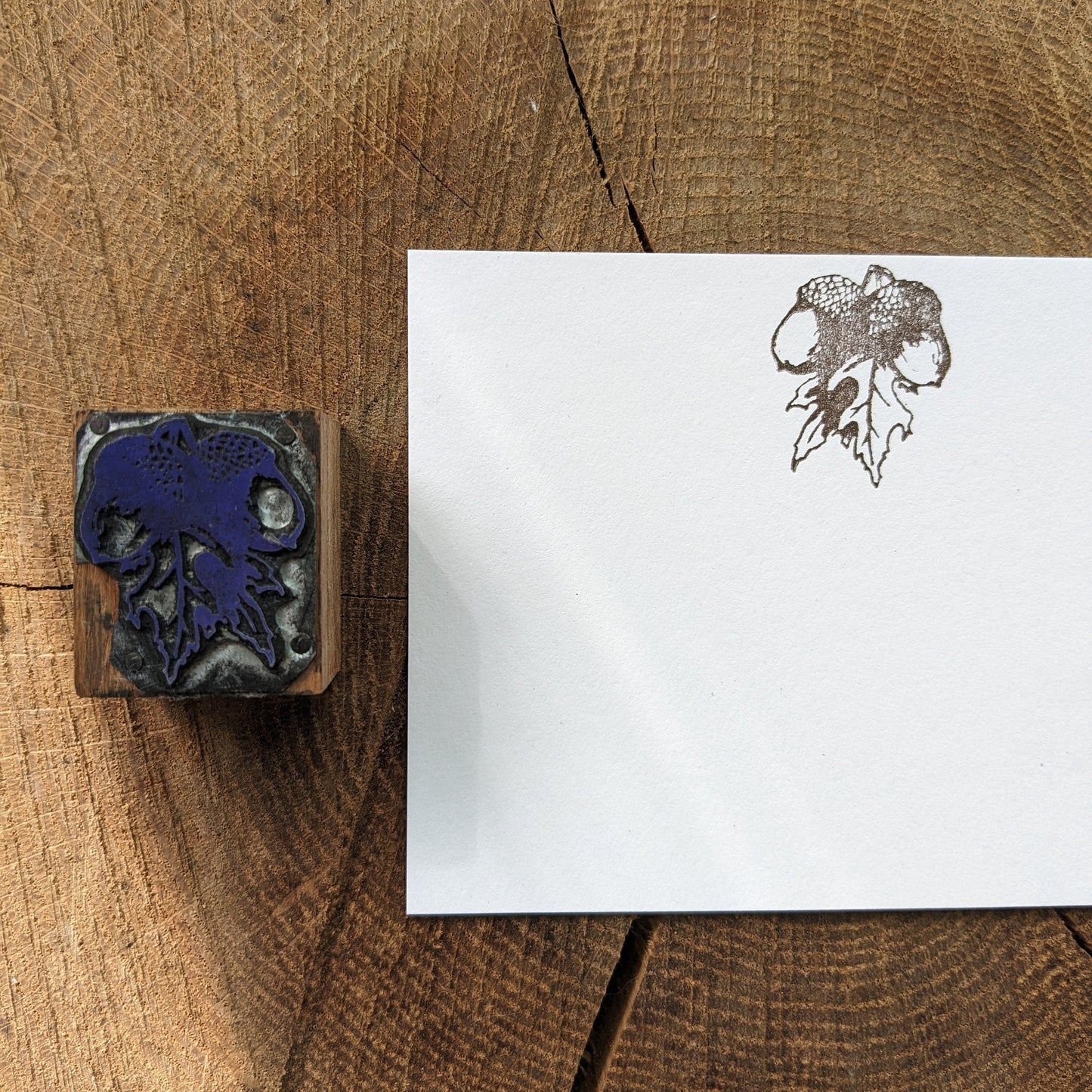 Macrame Plant Hanger & Acorn Letterpress Note Card Set