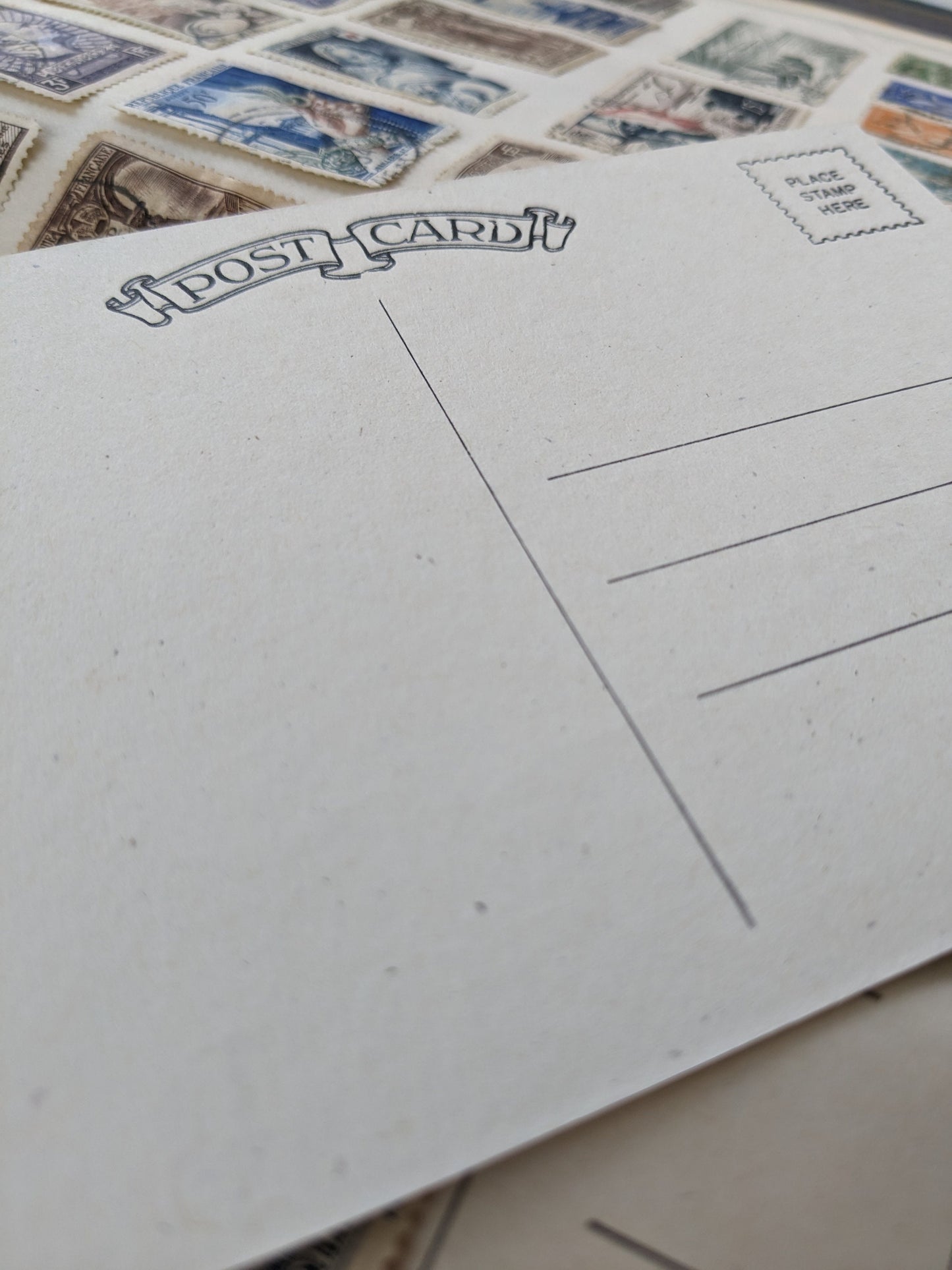 Snail Mail Letterpress Postcard