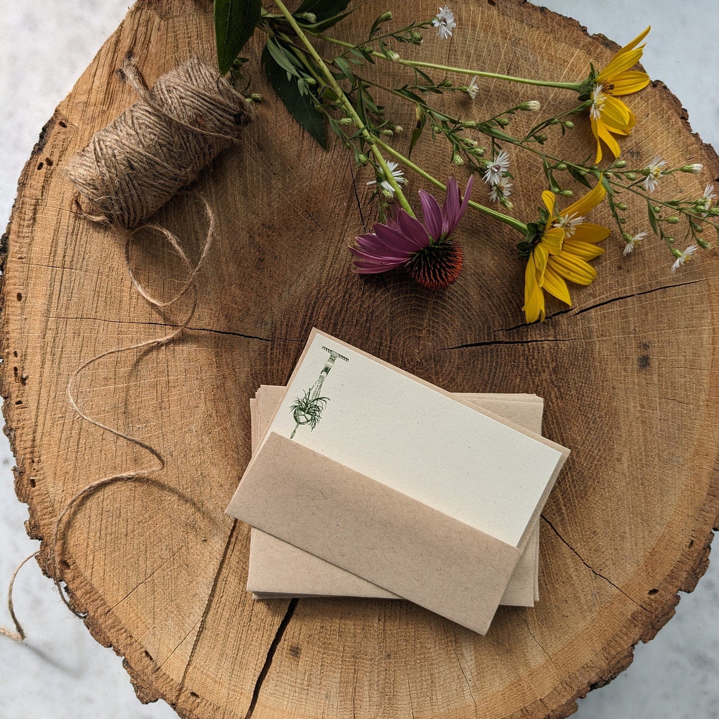 Macrame Plant Hanger & Acorn Letterpress Note Card Set