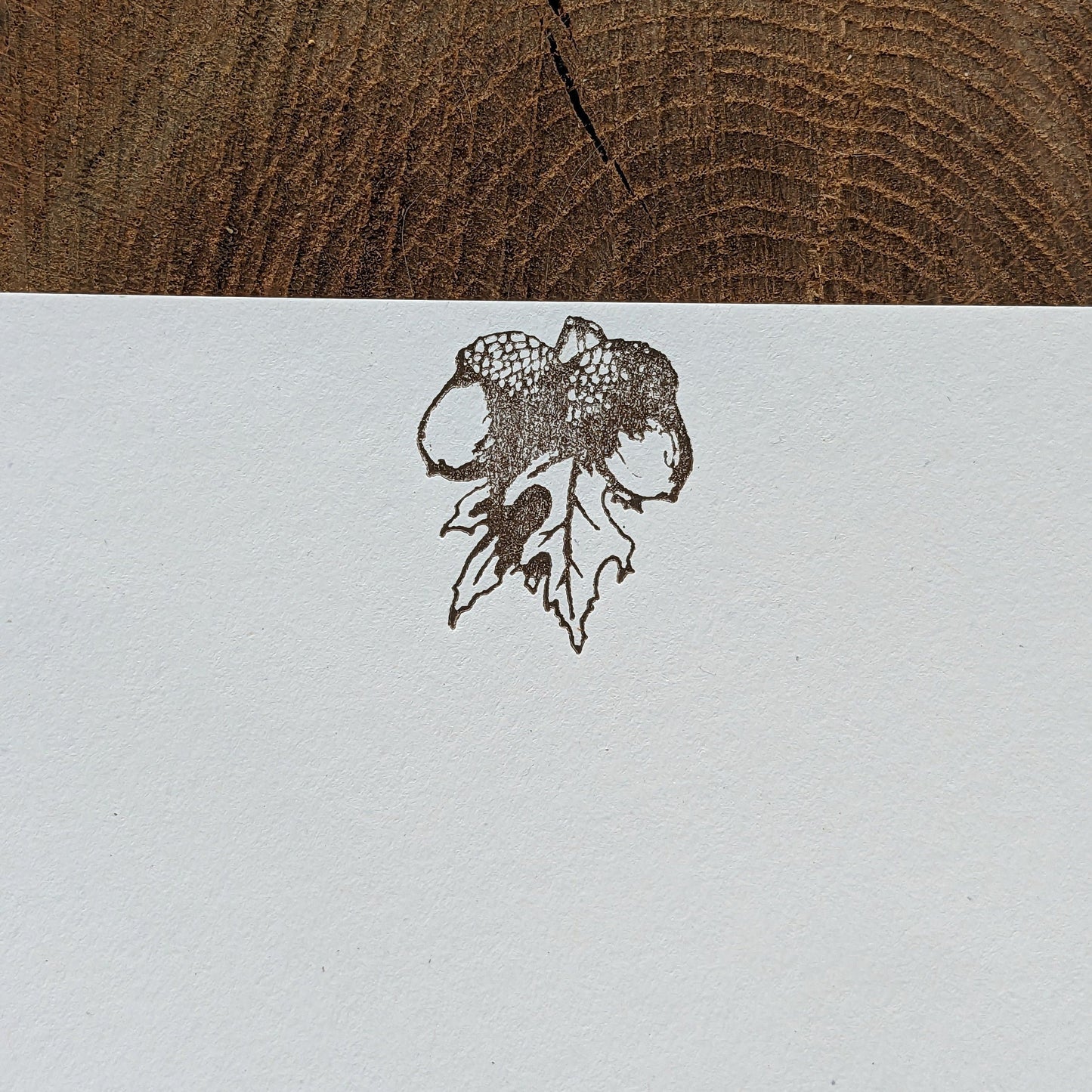 Macrame Plant Hanger & Acorn Letterpress Note Card Set