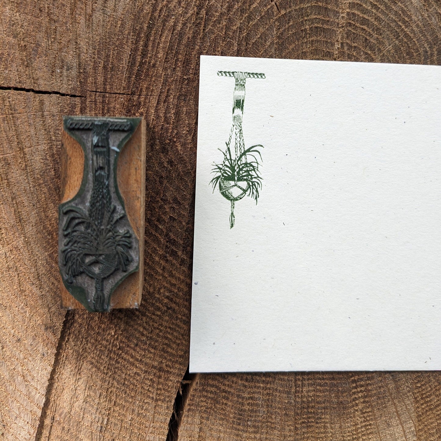 Macrame Plant Hanger & Acorn Letterpress Note Card Set