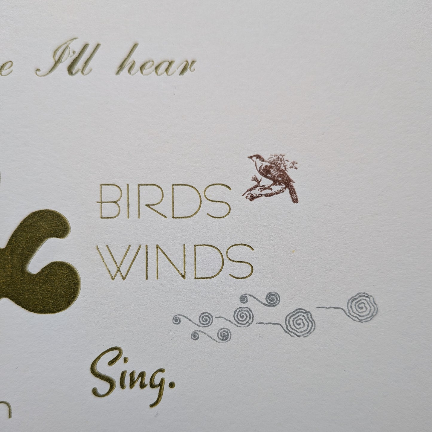 John Muir Quote Letterpress Print