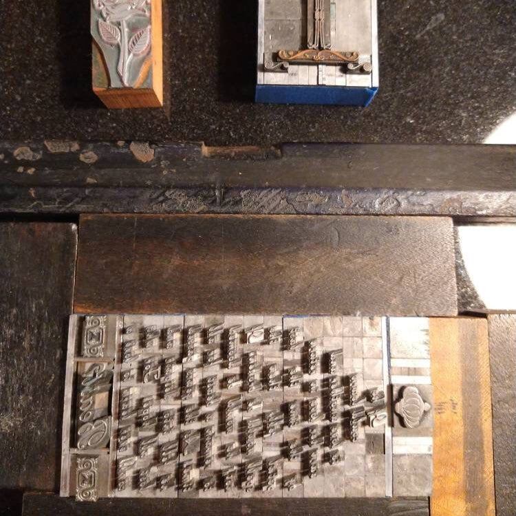 Beauty and the Beast Enchanted Rose Letterpress Print